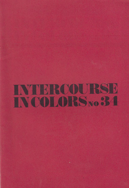 Intercourse in Colors 34